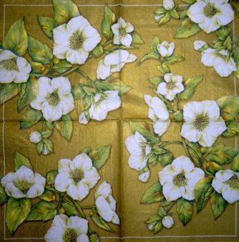 251 Roses - 3-ply (weiß) - Ihr